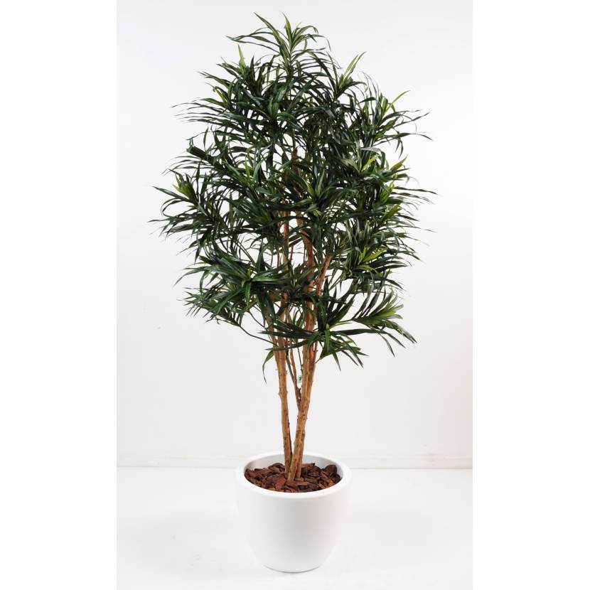 Dracaena artificial POTTED ROUND