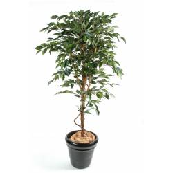 Ficus artificiel TRONC SIMPLE GF