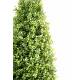 Artificial boxwood TOPIARY NEW
