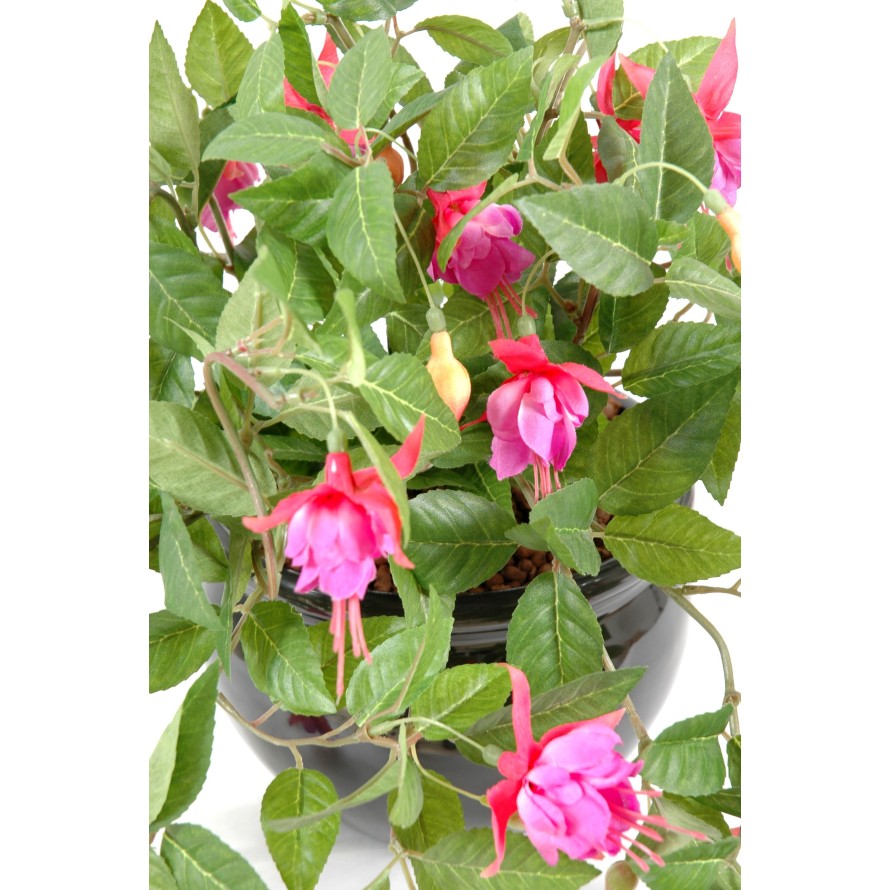 FUCSIA COLGANTE *306