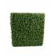 Boxwood artificial HEDGE NEW STRUCTURE METAL