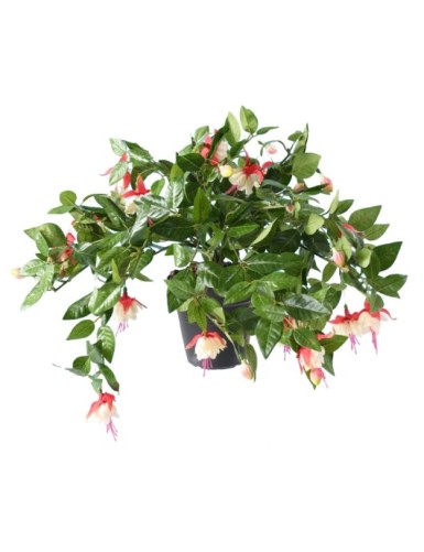 FUCSIA COLGANTE *306