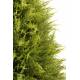 Artificial Cypres Juniperus