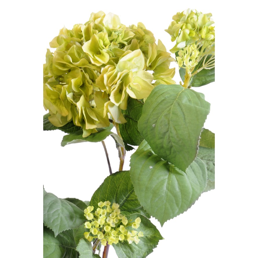 HORTENSIA PLANTA 82 (Precio neto promocional)
