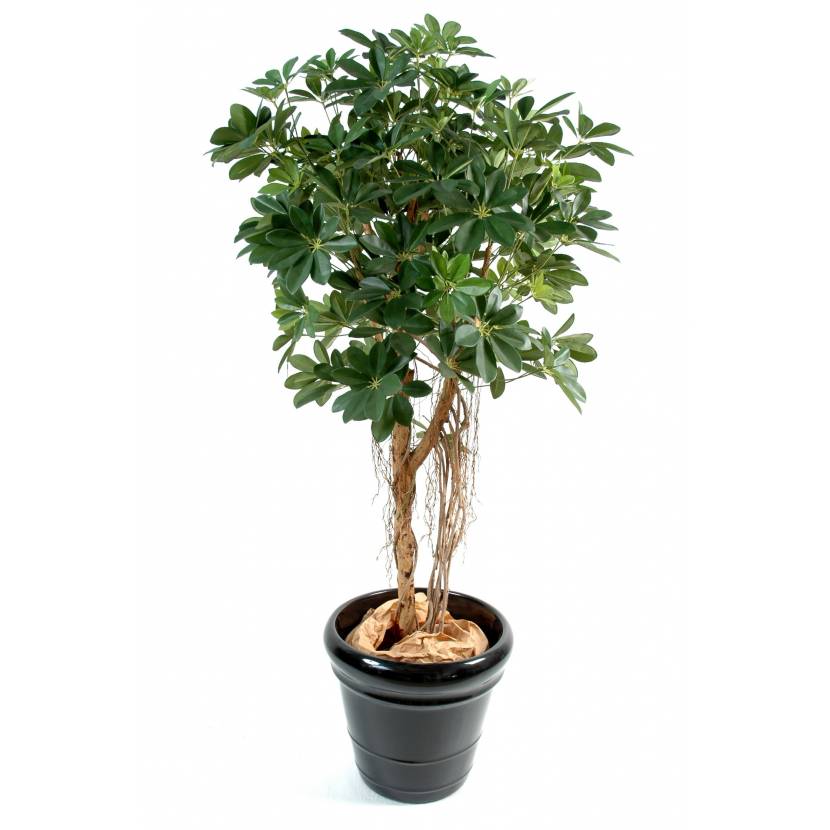 Artificial Schefflera BABY TREE