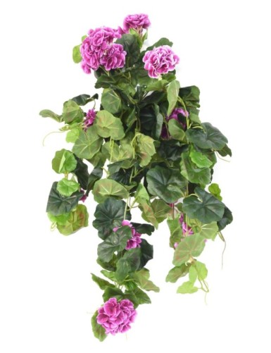GERANIUM HÄNGEKUNSTPFLANZE...