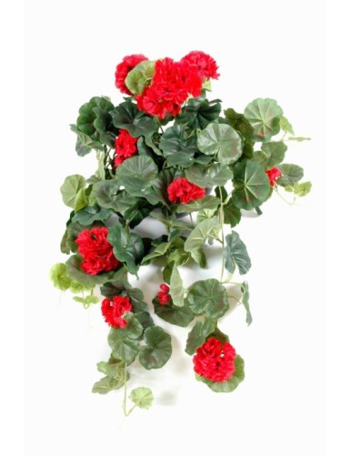 GERANIUM HÄNGEKUNSTPFLANZE...