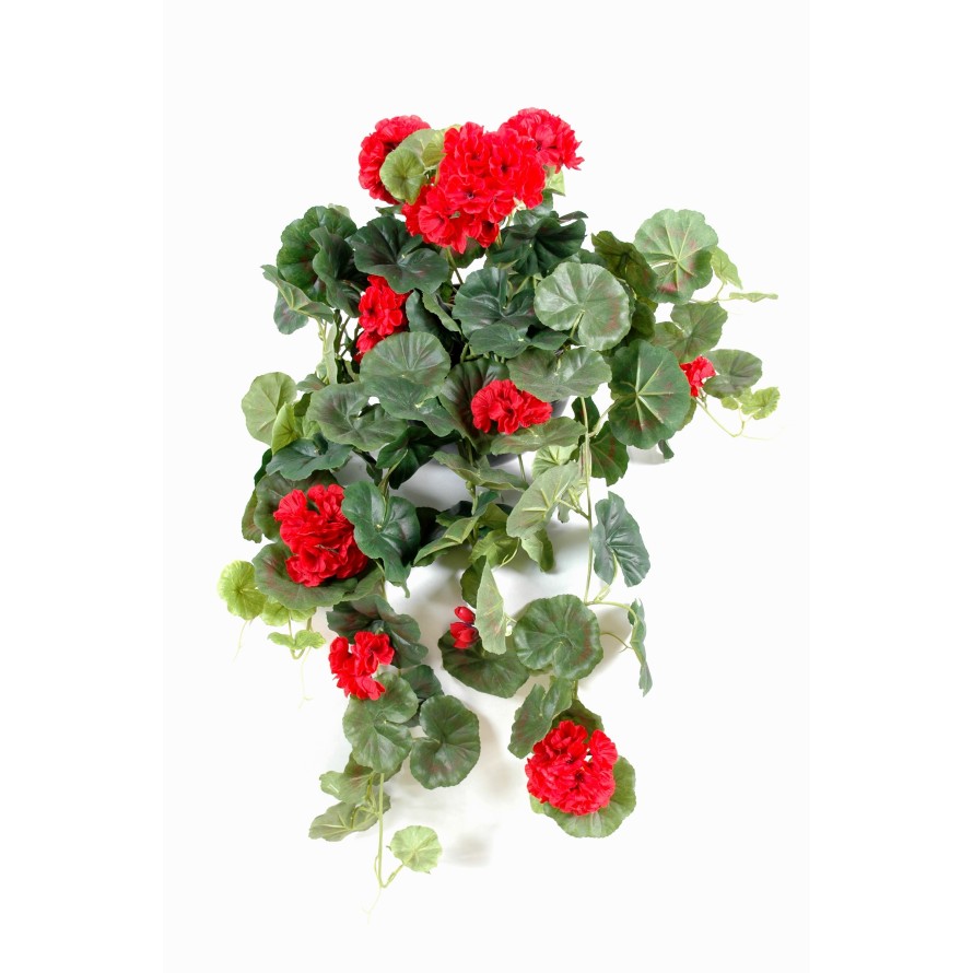 GERANIUM HÄNGEKUNSTPFLANZE *136