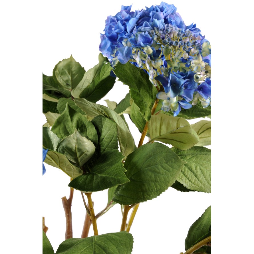 HORTENSIA EN MACETA DE BARRO