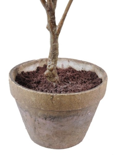 HYDRANGEA EARTHEN POT (Net promotional price)