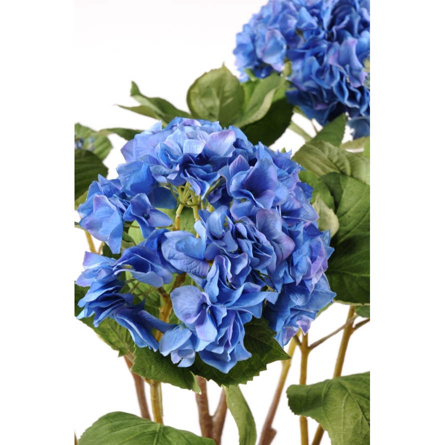 HYDRANGEA EARTHEN POT (Net promotional price)