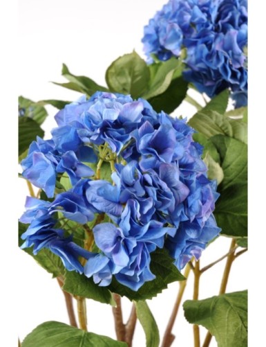 HORTENSIA EN MACETA DE BARRO (Precio neto promocional)