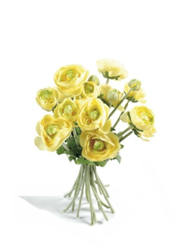 RENONCULES BOUQUET (promo net)