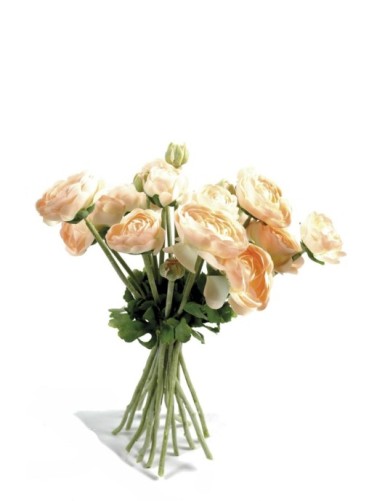 RENONCULES BOUQUET (promo net)