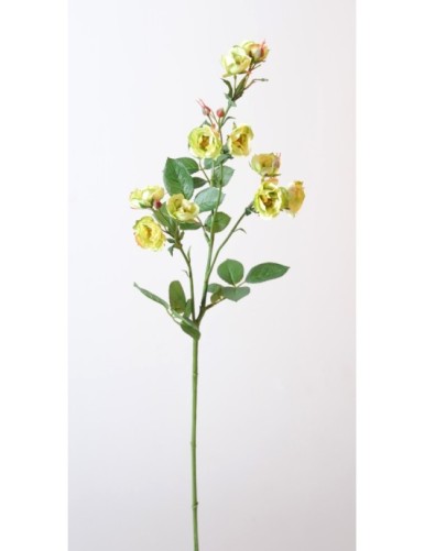 WILDROSE *11 (Netto-Aktionspreis)