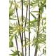 Bamboo GREEN artificial S