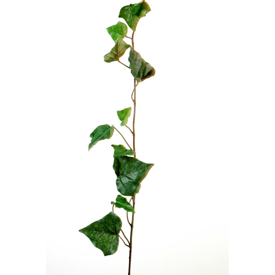 IVY STEM (Net promotional price)