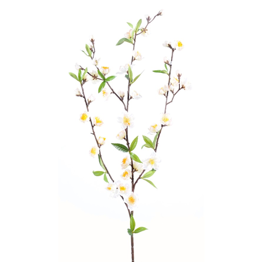 CEREZO EN FLOR RAMA *42