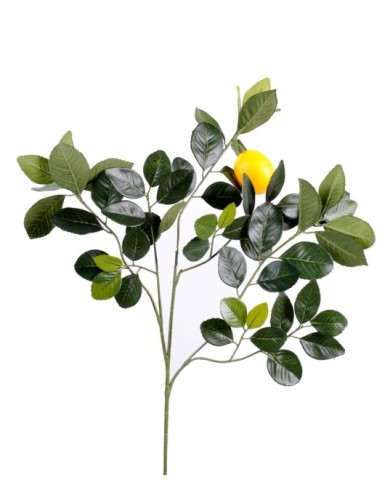 LIMONERO GOLDEN RAMA Y FRUTO M