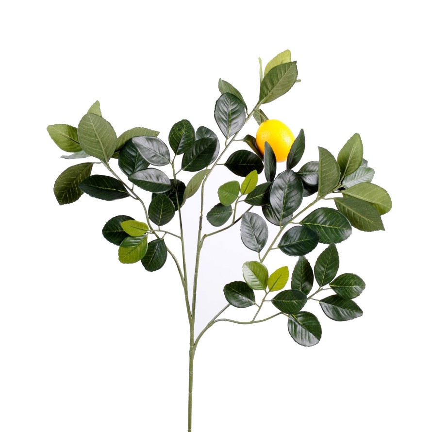 ZITRONENBAUM GOLDEN ZWEIG UND FRUCHT M