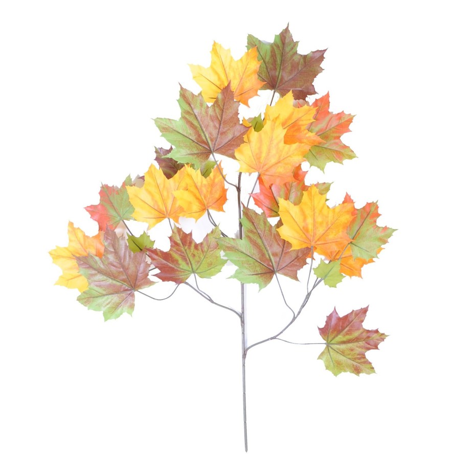 PLÁTANO ÁRBOL RAMA *23