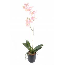 Artificial Phalaenopsis L*12