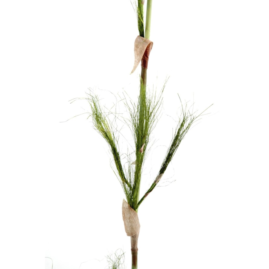 BAMBOO STEM (Net promotional price)