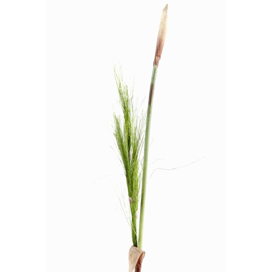 BAMBOO STEM (Net promotional price)