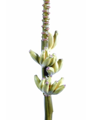 BANANENBLÜTE FRUCHTSTAND