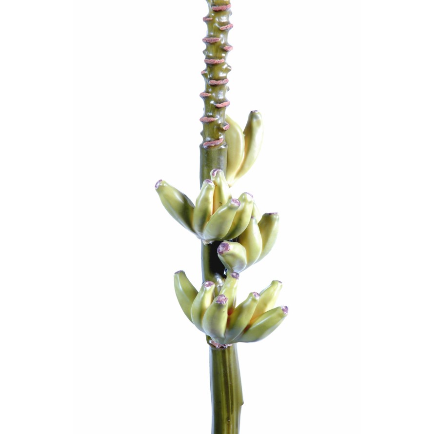 BANANA BUNCH BLOSSOM