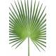 Palm artificial PALM tree CAMERUS