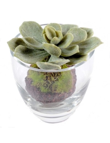 BOUQUET SUCCULENTE (promo net)