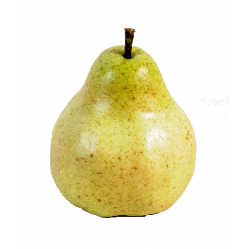 Pear artificial