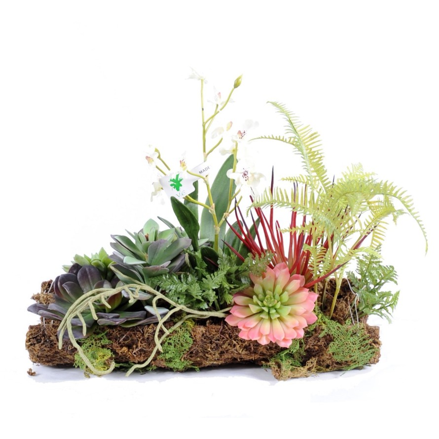 ORCHIDEE SUKKULENTE ARRANGEMENT