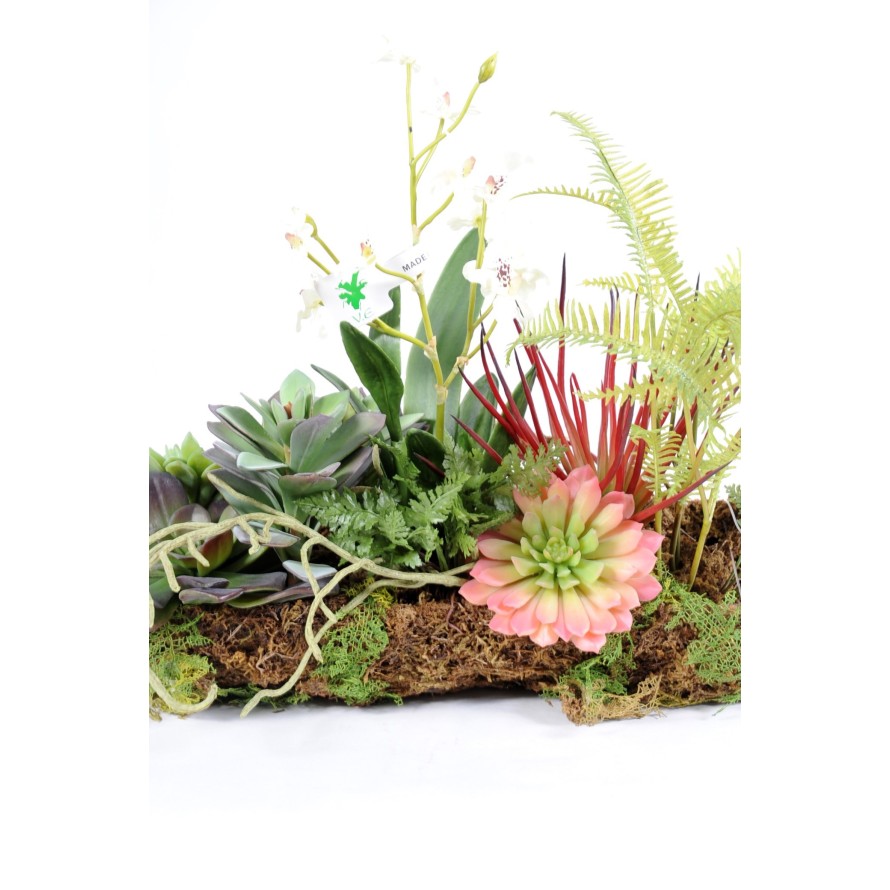 ORCHIDEE SUKKULENTE ARRANGEMENT