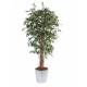 Ficus artificial VINES, POTTED ROUND