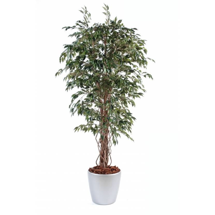 Ficus artificial VINES, POTTED ROUND