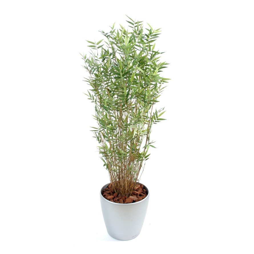 BAMBÚ MULTI TREE ORIENTAL EN MACETA