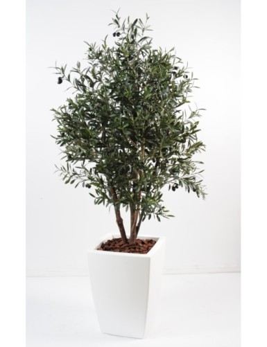 OLIVO ARBUSTO EN MACETA...