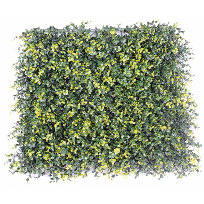 Artificial boxwood PLATE 50*50 8CM