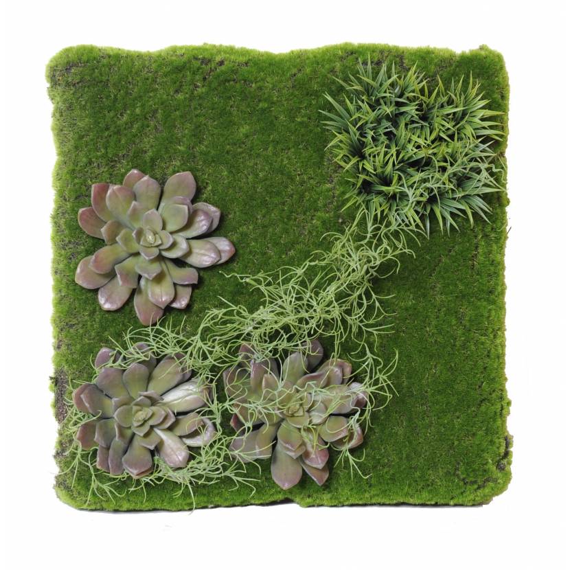 Artificial wall PLANT 50*50