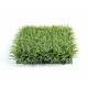 Artificial grass - outdoor artificial plant