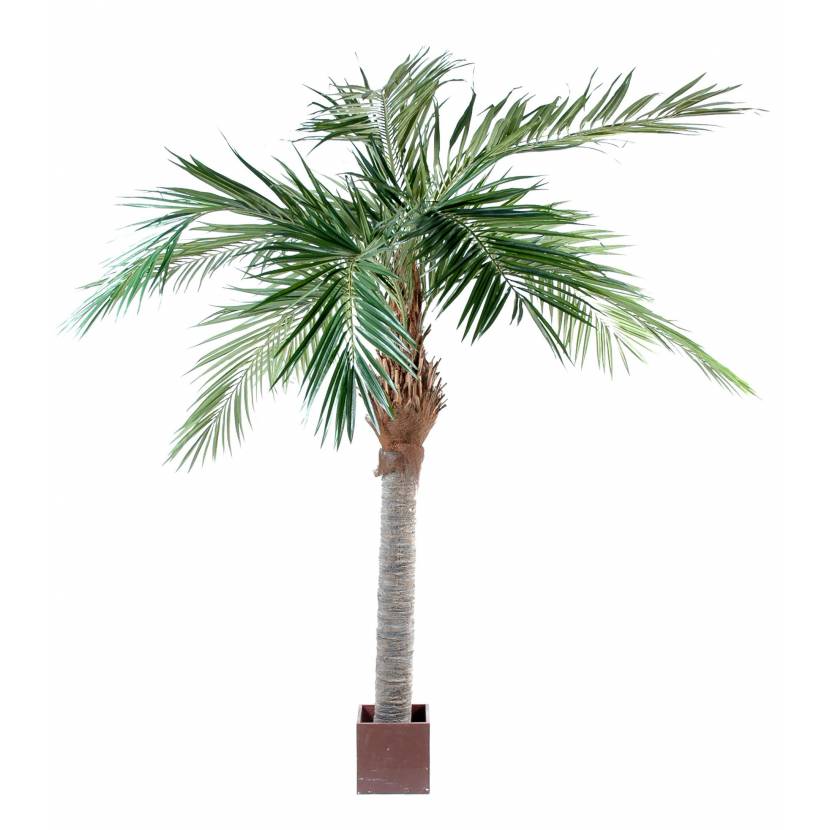Palm tree artificial MAJESTY