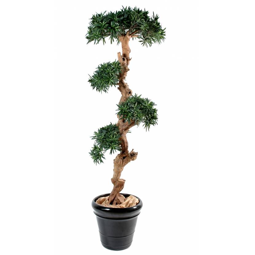 Podocarpus artificiel NUAGE