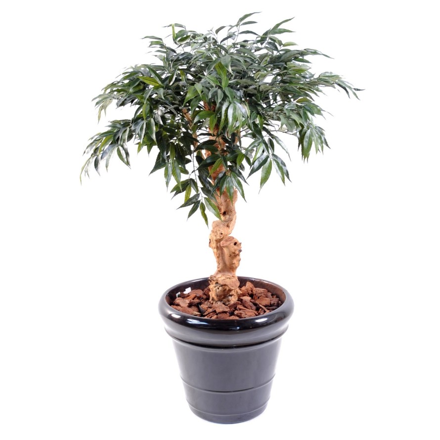 SHIRAKASHI UMBRELLA 95 CM