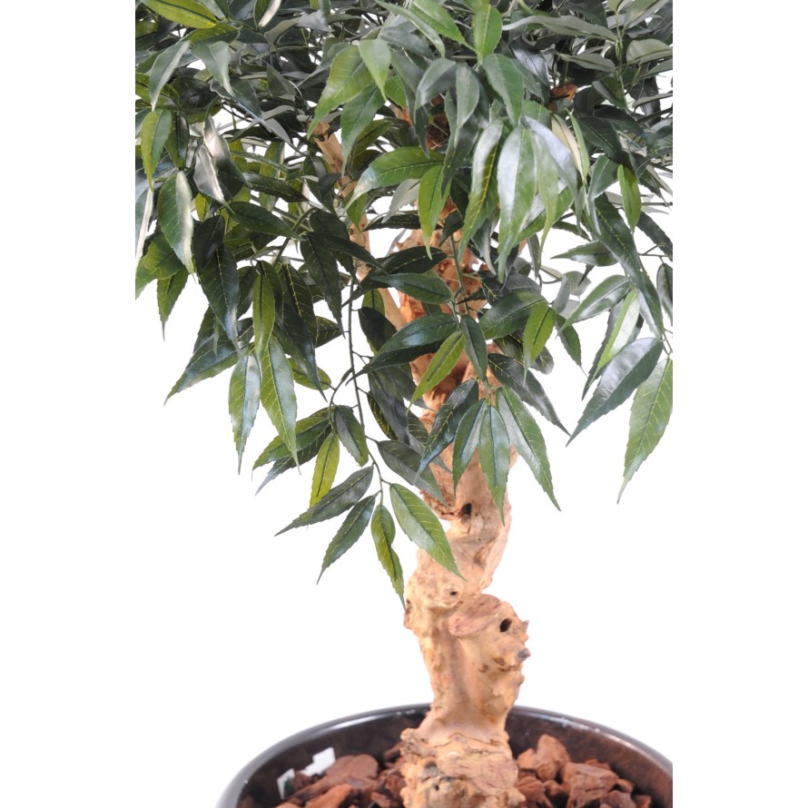 SHIRAKASHI UMBRELLA 95 CM