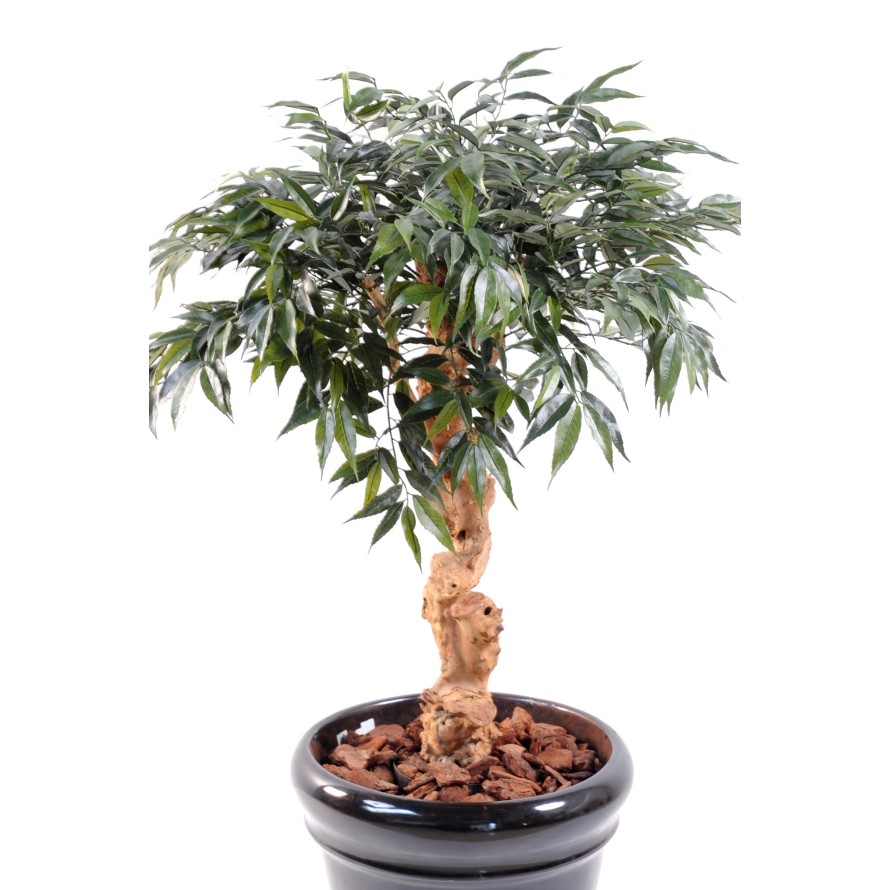 SHIRAKASHI UMBRELLA 95 CM