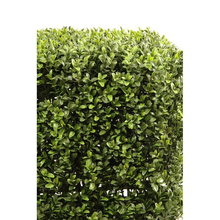 BOXWOOD SQUARE NEW