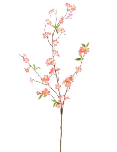 KIRSCHE ZWEIG NEW * 76 fl