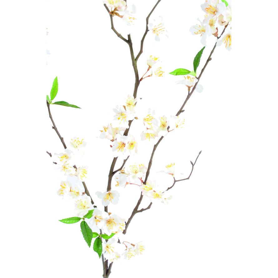 KIRSCHE ZWEIG NEW * 76 fl